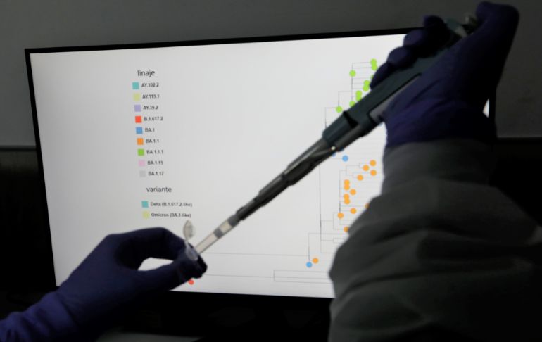 COVID-19: detectan presencia de subvariantes BA. 4 y BA. 5 de ómicron en tres distritos de Lima