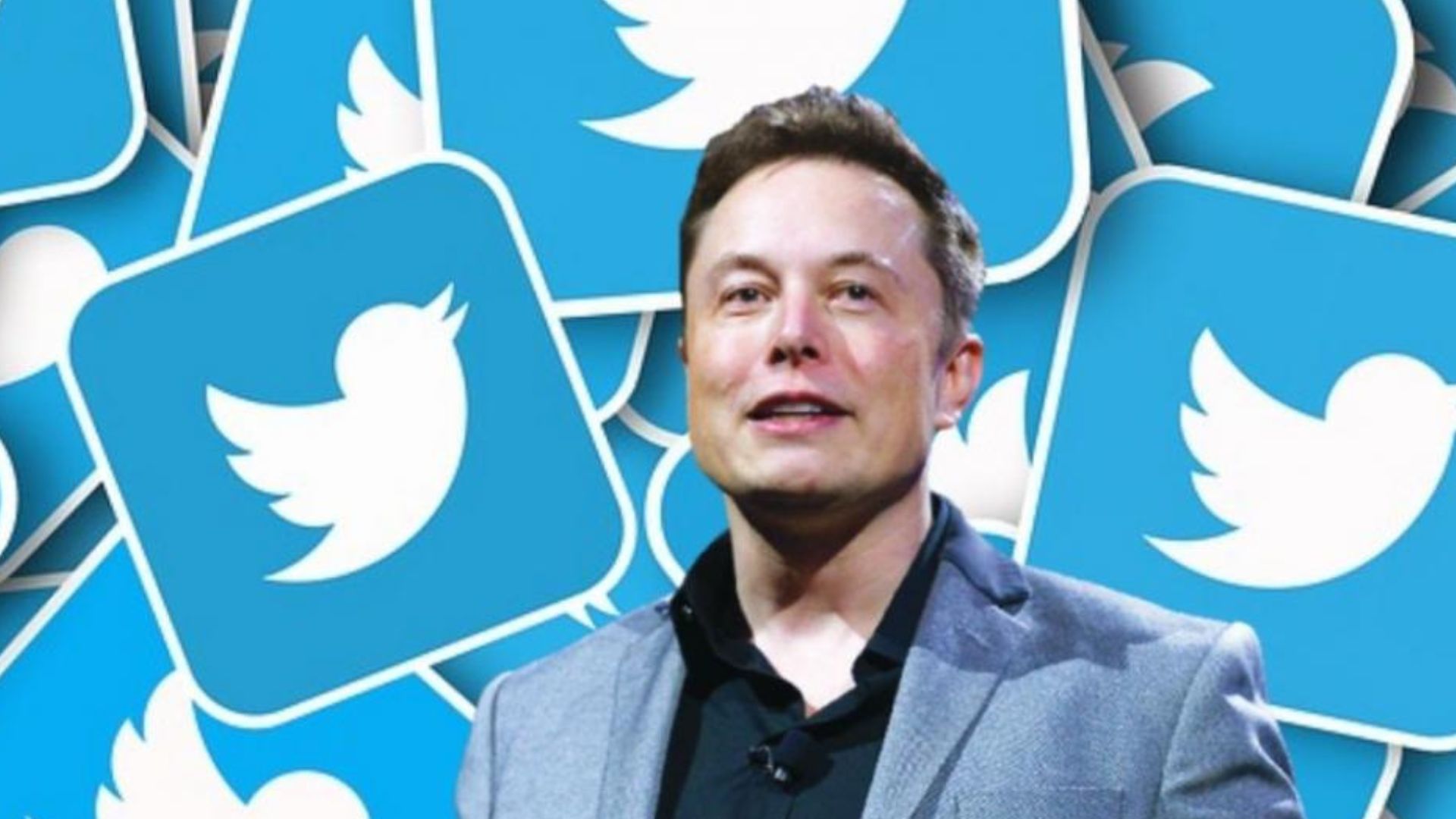 Elon Musk en su primera reunión con los empleados de Twitter: "Es esencial tener libertad de expresión"