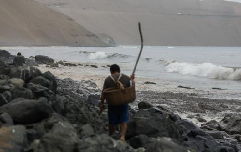 Portada: Derrame de petróleo: reabren playas de Ancón para la extracción de moluscos