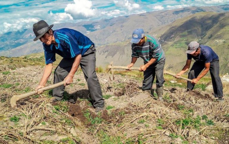 Portada: Bono Wanuchay: amplían hasta el 31 de diciembre el plazo para el pago de 350 soles