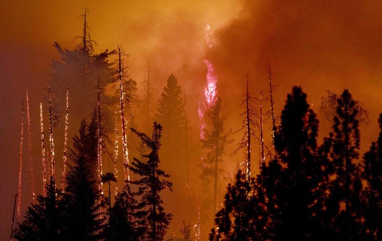 Estados Unidos: gigantesco incendio forestal se propaga en California