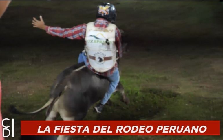 Crónicas de Impacto: Peligroso rodeo de toros en Oxapampa | VIDEO