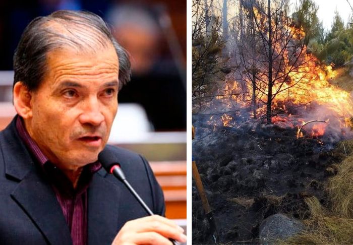 Ministro de Ambiente, Wilbert Rozas: "Tenemos tantos incendios forestales y no hay nadie que esté detenido o enjuiciado"