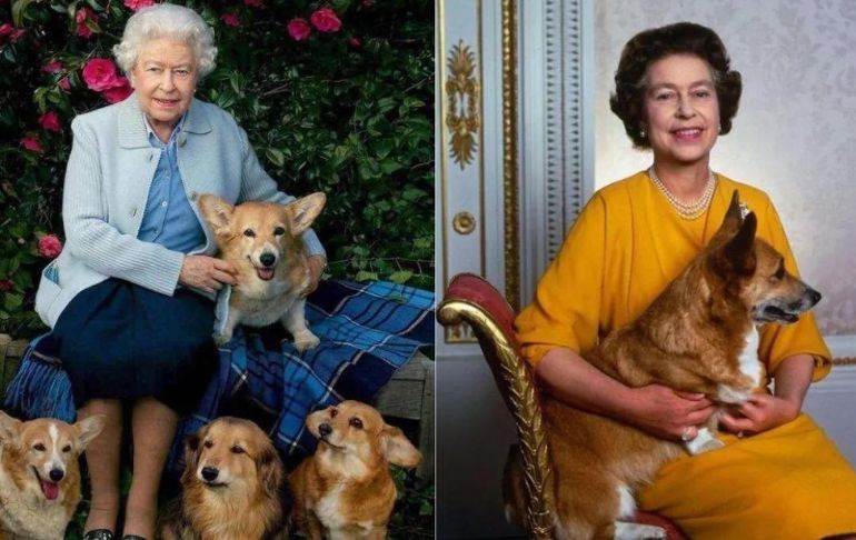 Los corgis de Isabel II: la reina tuvo más de 30 ejemplares