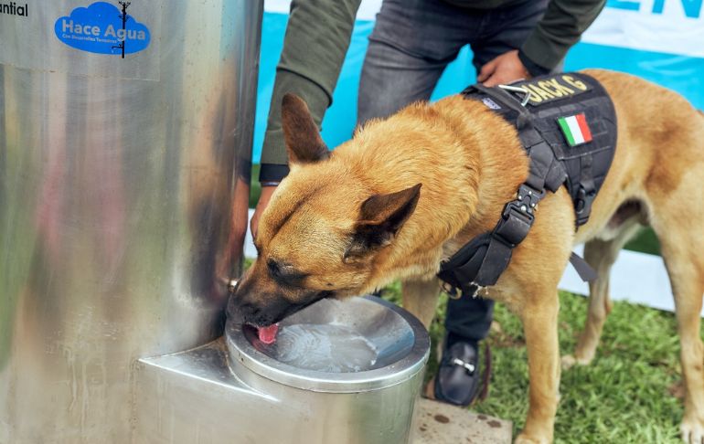 Hace Agua: proyecto de innovación social y tecnológica que transforma la humedad en agua