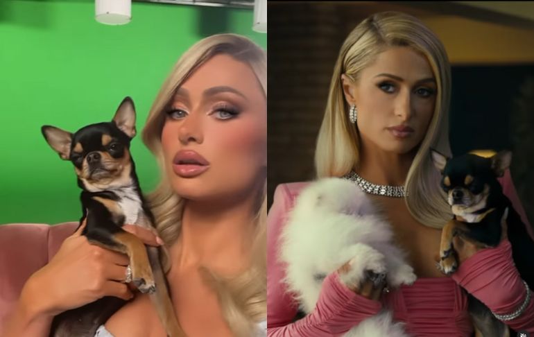 Portada: Paris Hilton perdió a su perro y contrató a equipo de detectives para encontrarlo