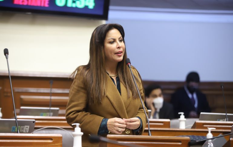 Patricia Chirinos: Defensoría insta al JEE Lima Centro a investigar denuncia contra congresista