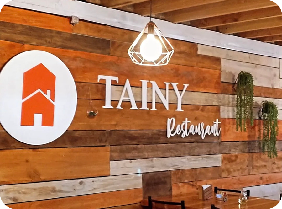 Tainy
