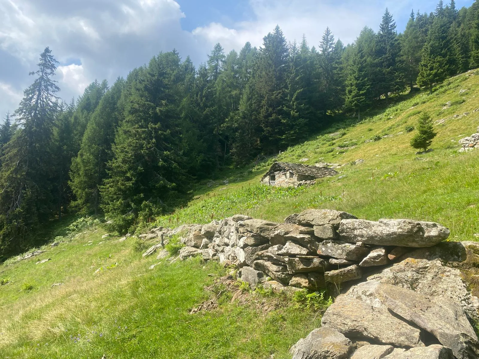 Bivacco Rovedatti in Val Tartano, immagine 1