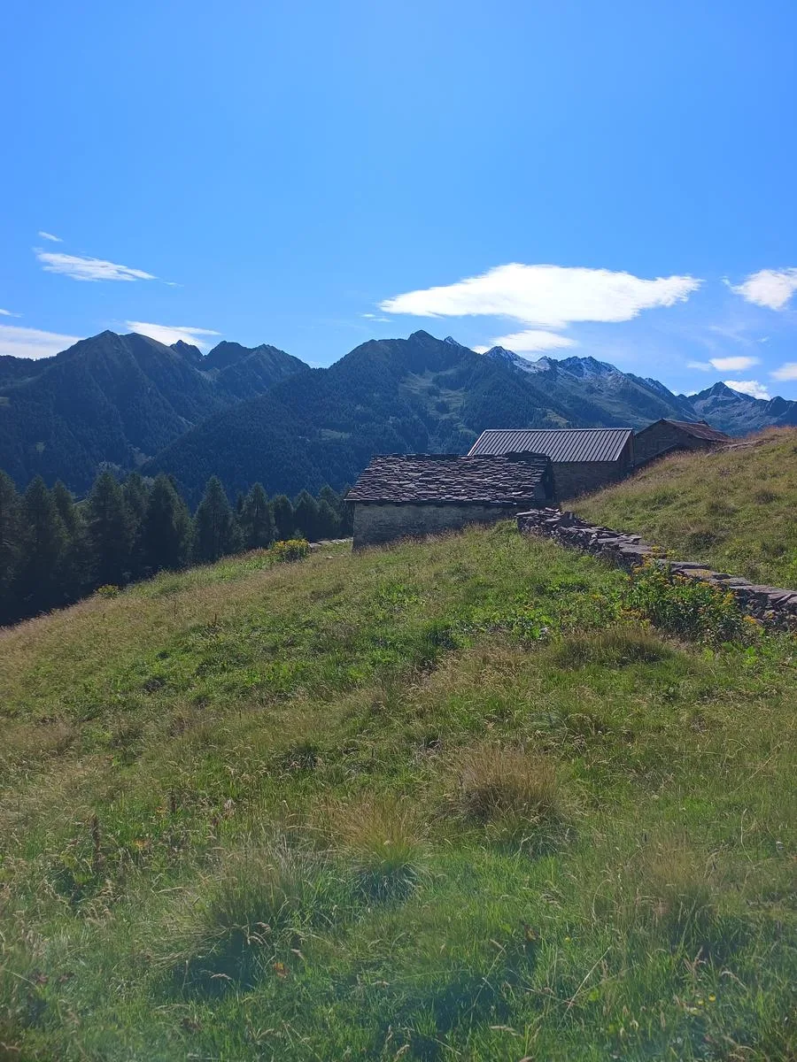 Bivacco Rovedatti in Val Tartano, immagine 8