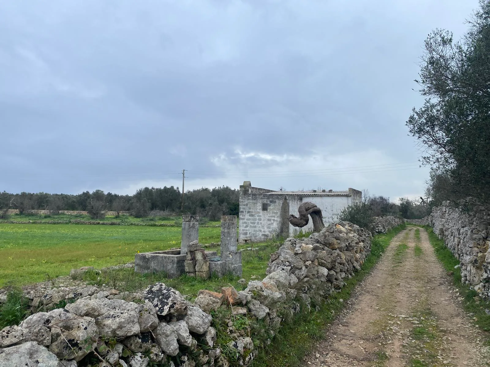 Capodanno in Salento, immagine 6