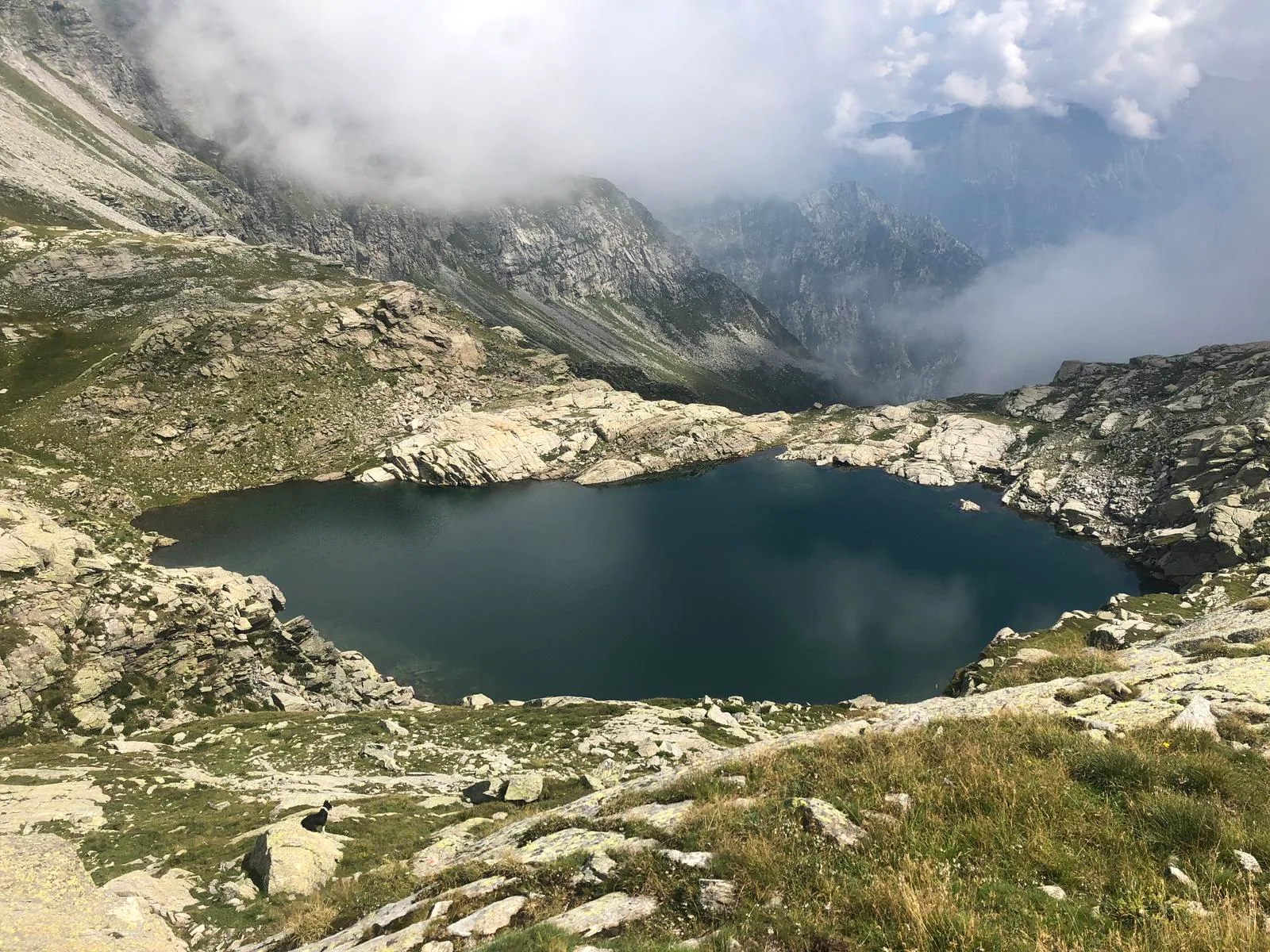 Pizzaccio dal Bivacco Forcola, immagine 5