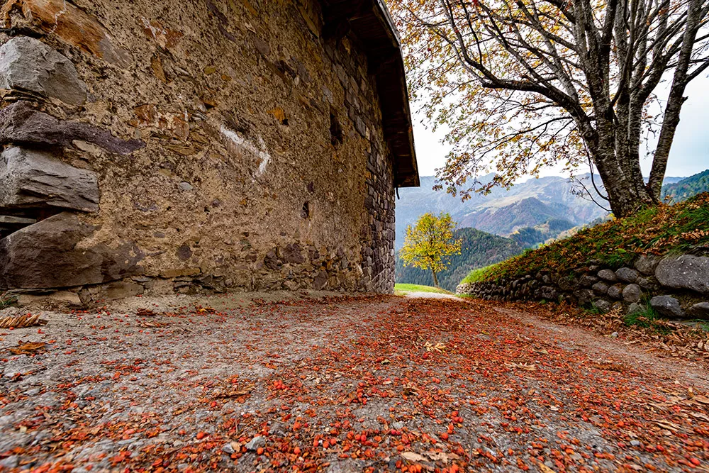 La Via Decia, immagine 3