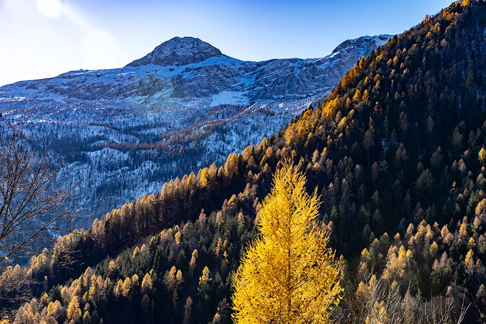 La Via Decia, immagine 4