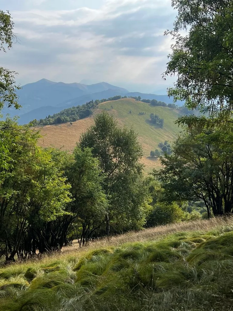 Monte Generoso da San Fedele Intelvi, immagine 1