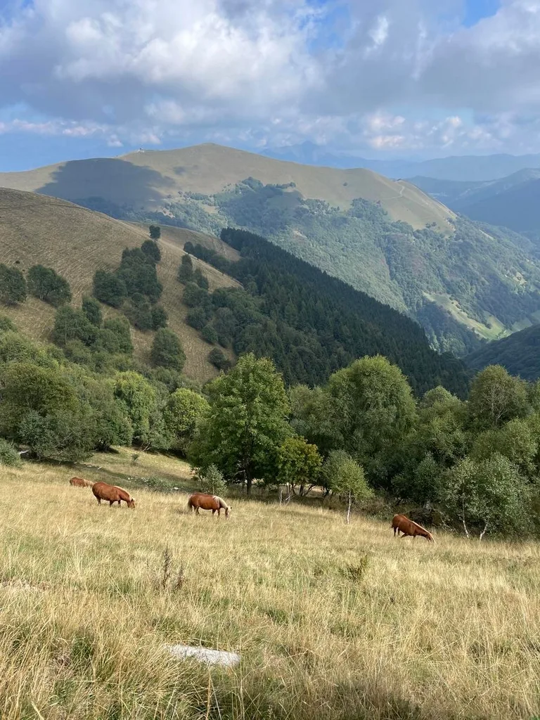 Monte Generoso da San Fedele Intelvi, immagine 7