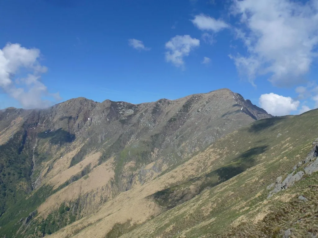 InfraTrek al Monte Zeda, immagine 2