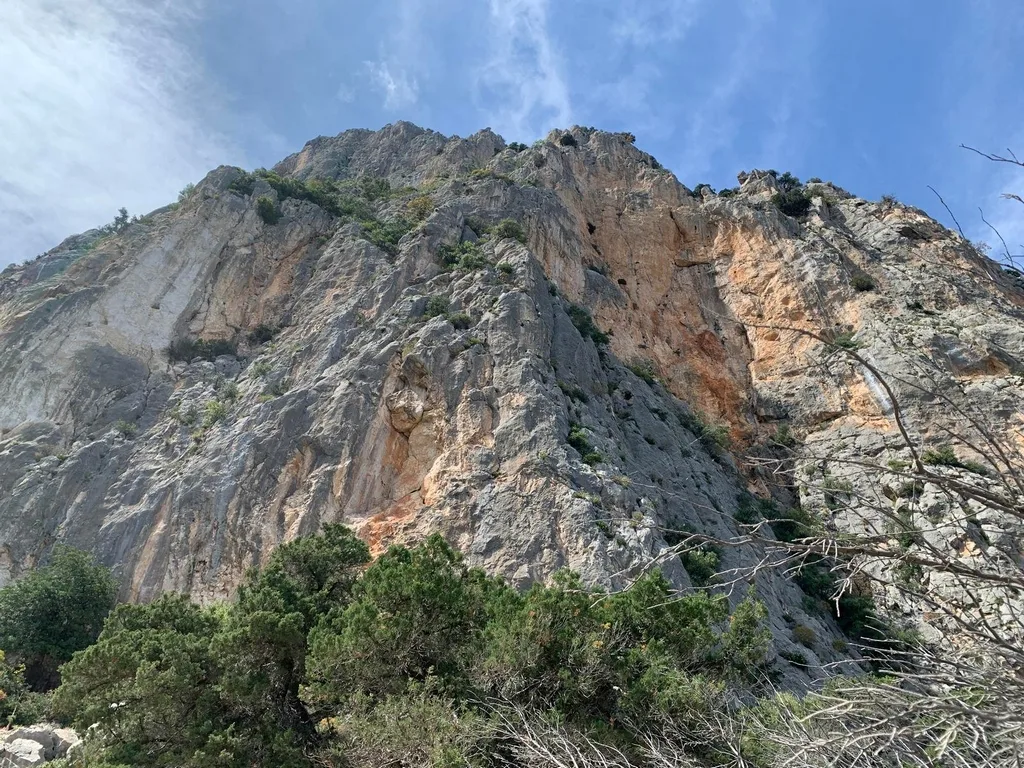 Il Selvaggio Blu, immagine 1