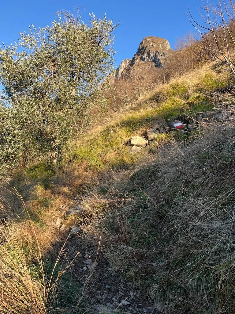 La Vertical della Trantapassi, immagine 2