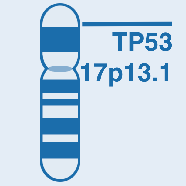 TP53 Database Icon