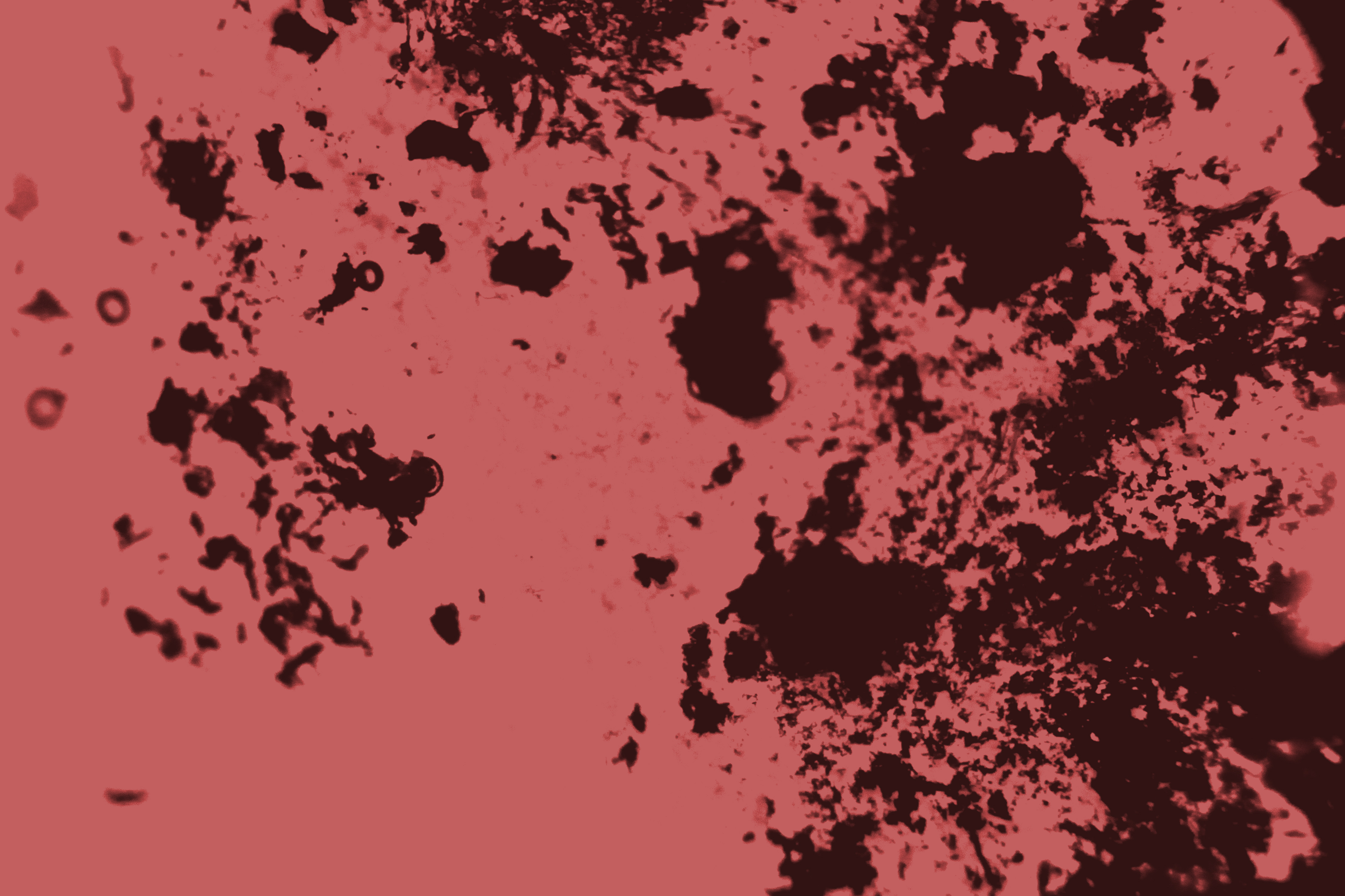 Free Black And Red Splotchy Duotone Texture Texture - L+T