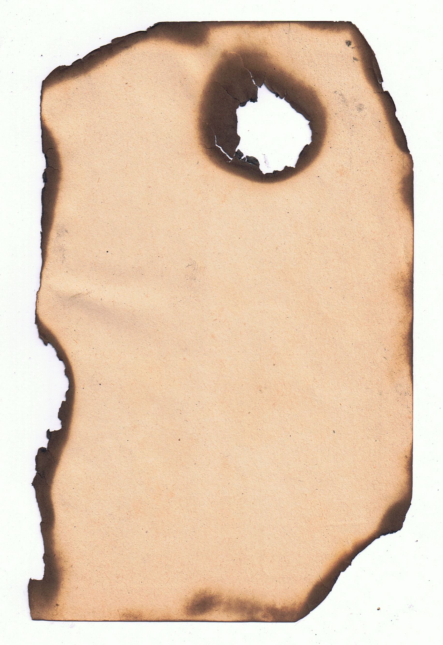 Free Burned Paper Texture Texture L+T