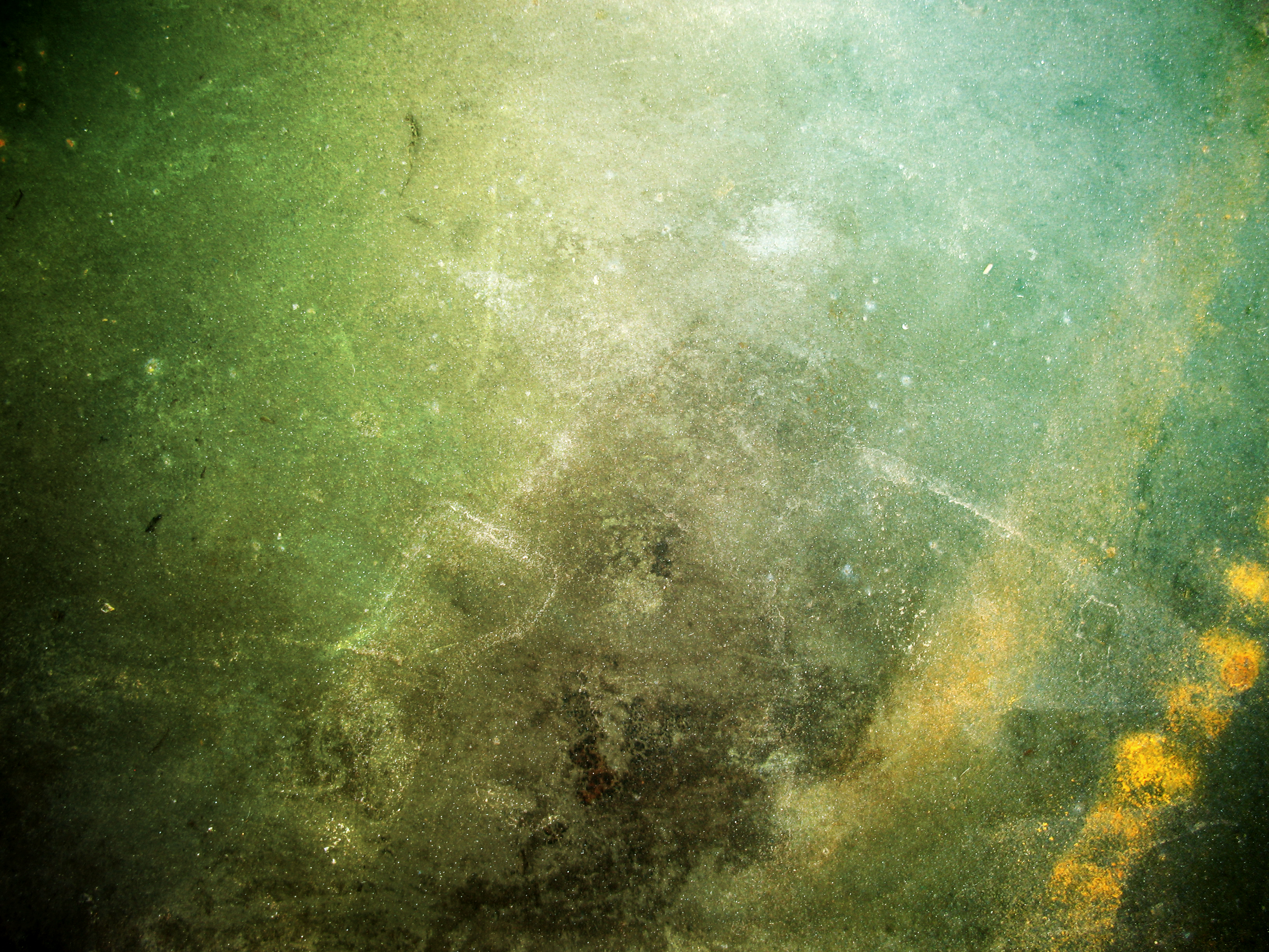 Free Colorful Grunge Texture  Texture  L T