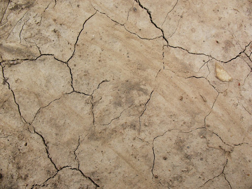 worn concrete texture seamless worn concrete texture seamless