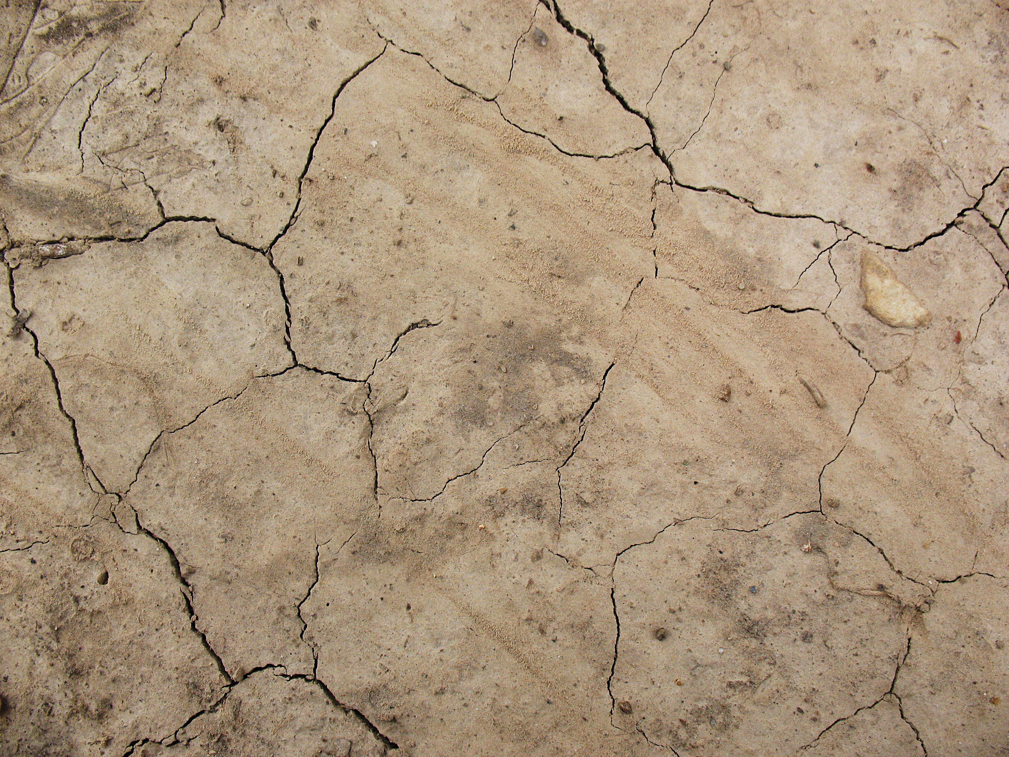 Download Free Cracked Concrete Texture Texture - L+T