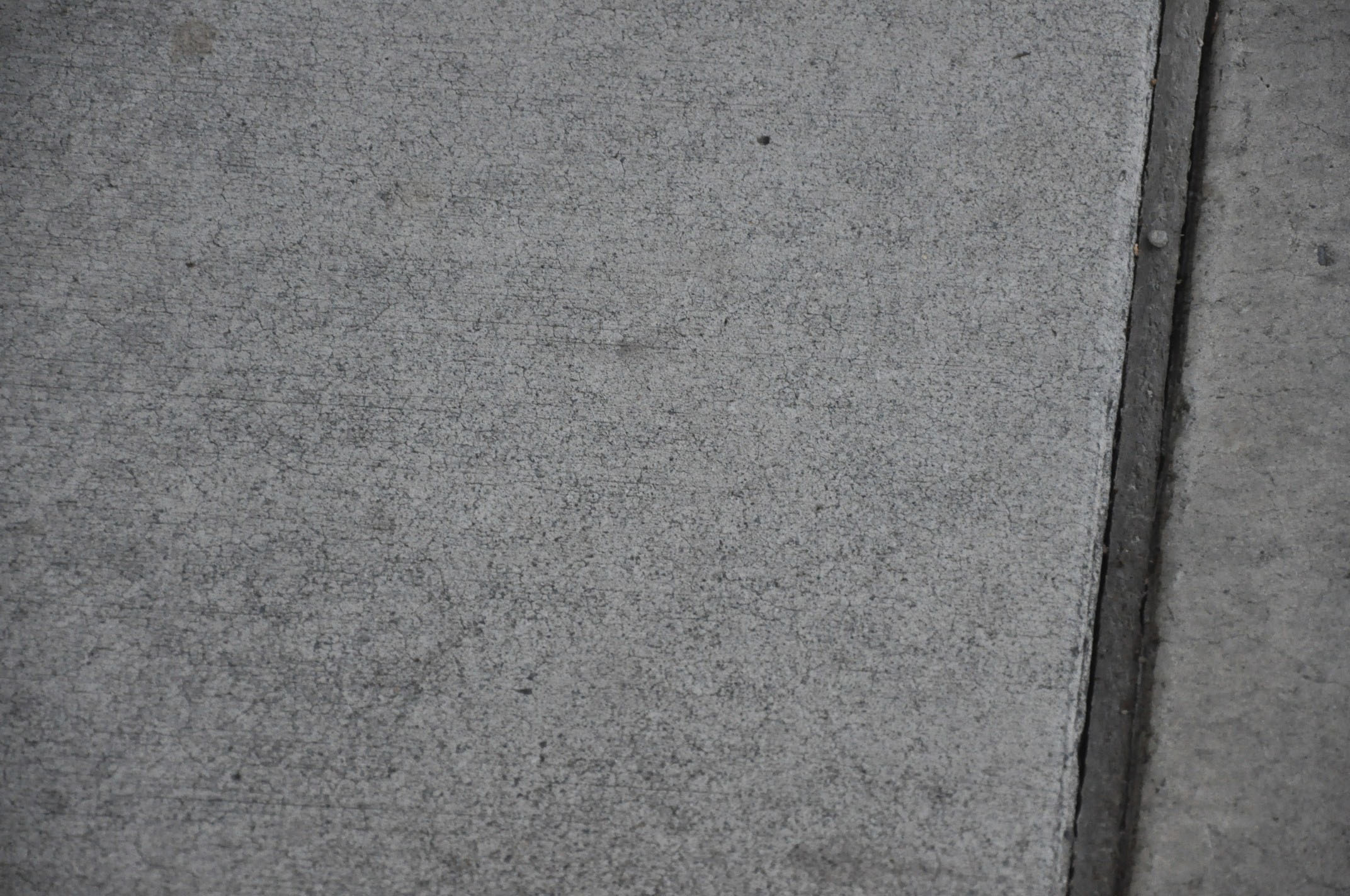 Free Grey Concrete Grunge Texture Texture L T