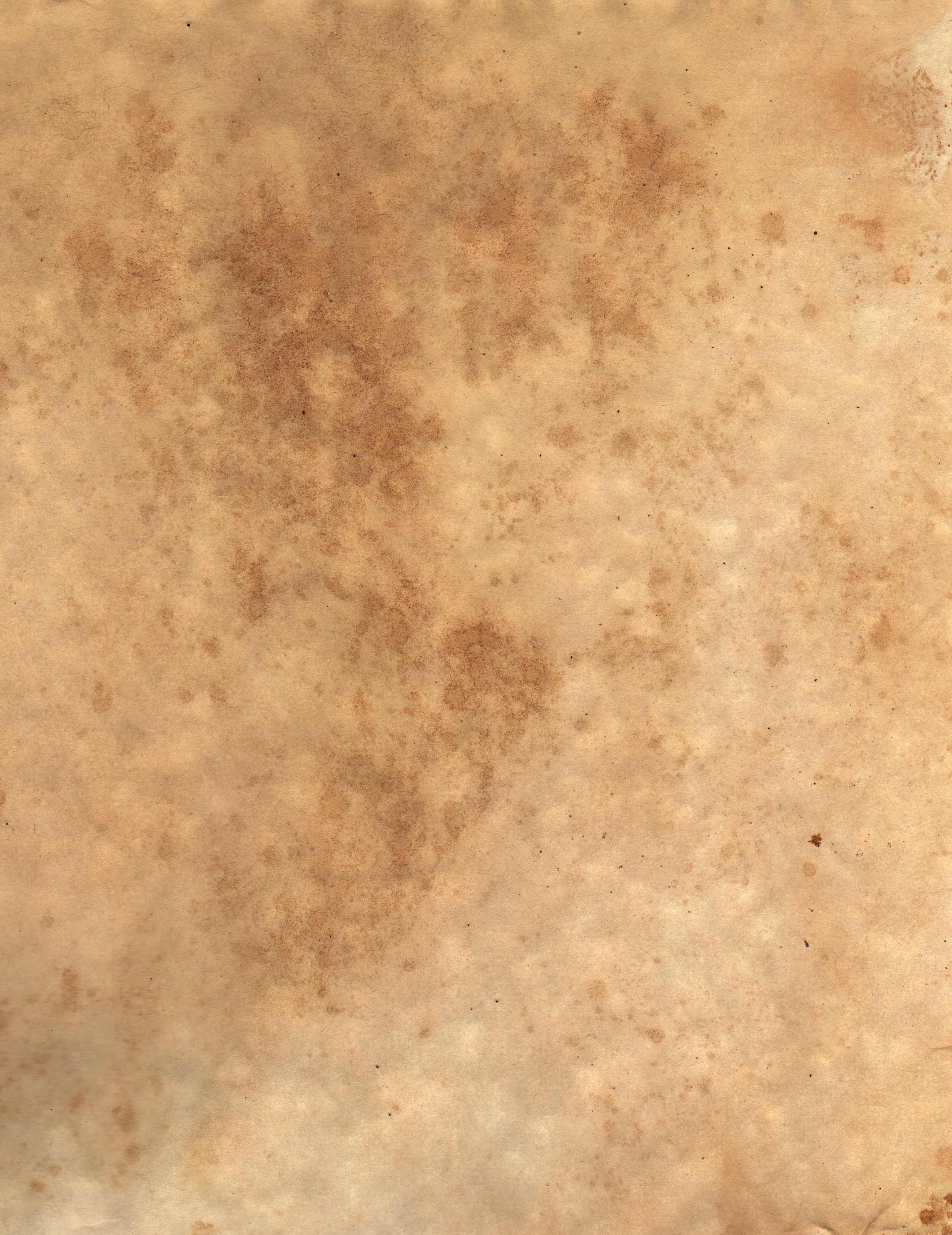 Free Hand Stained Brown Paper Texture Texture - L+T