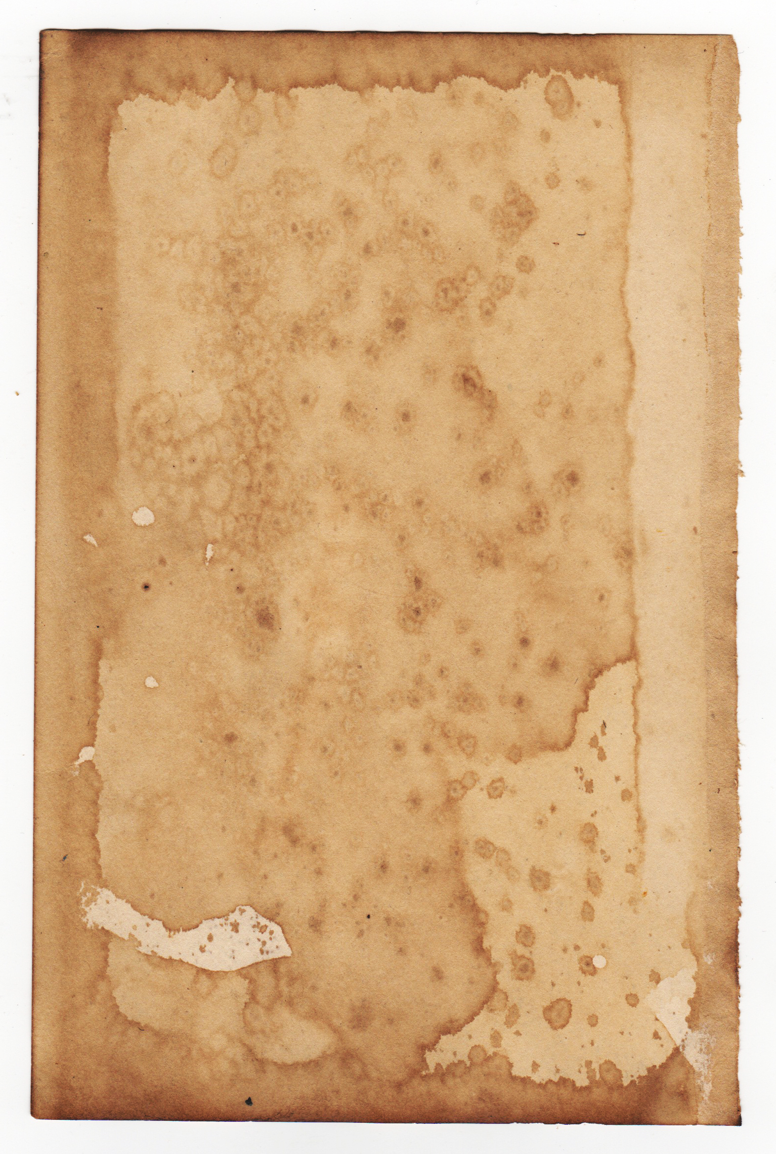 tea stain texture