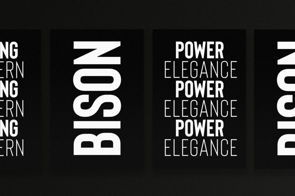 bison font