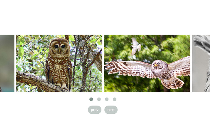 owl carousel slider jquery plugin open source