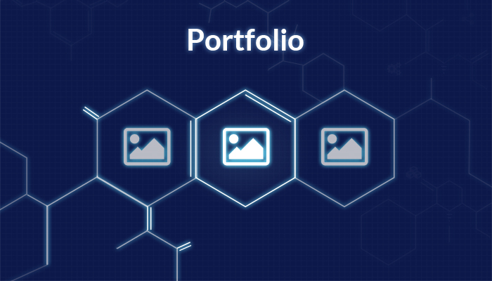 portfolio monstroid theme