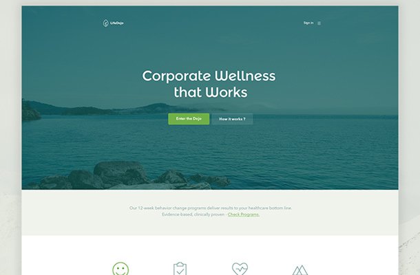 life dojo landing page website layout