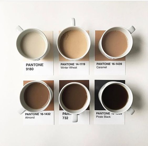 What Is The Espresso Color? [Design Ideas]