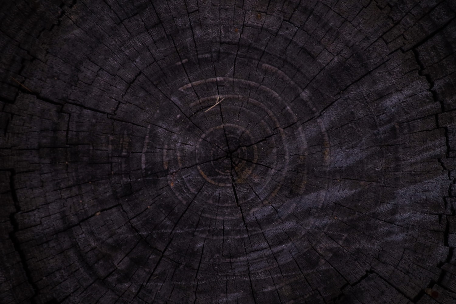 20 Black Wood Textures ~