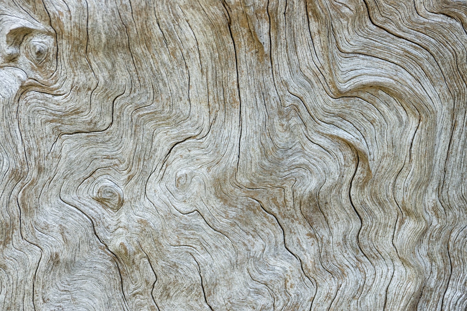 50 Beautiful Free Wood Textures to Download Today | 2020 Update - Web ...