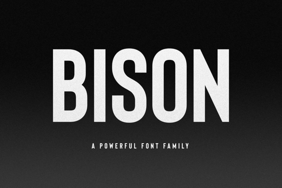 Bison