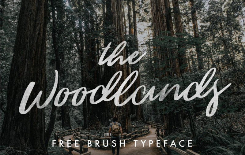 fall fonts