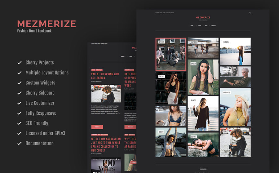 Photo Album WordPress Theme 