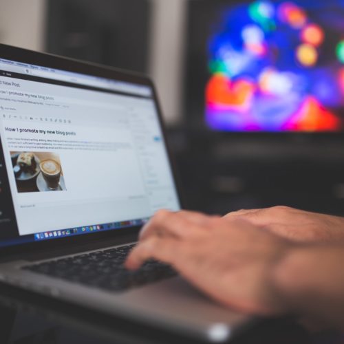 wordpress Platform