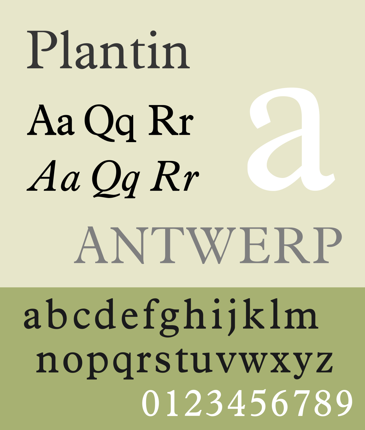 2020 popular fonts plantin