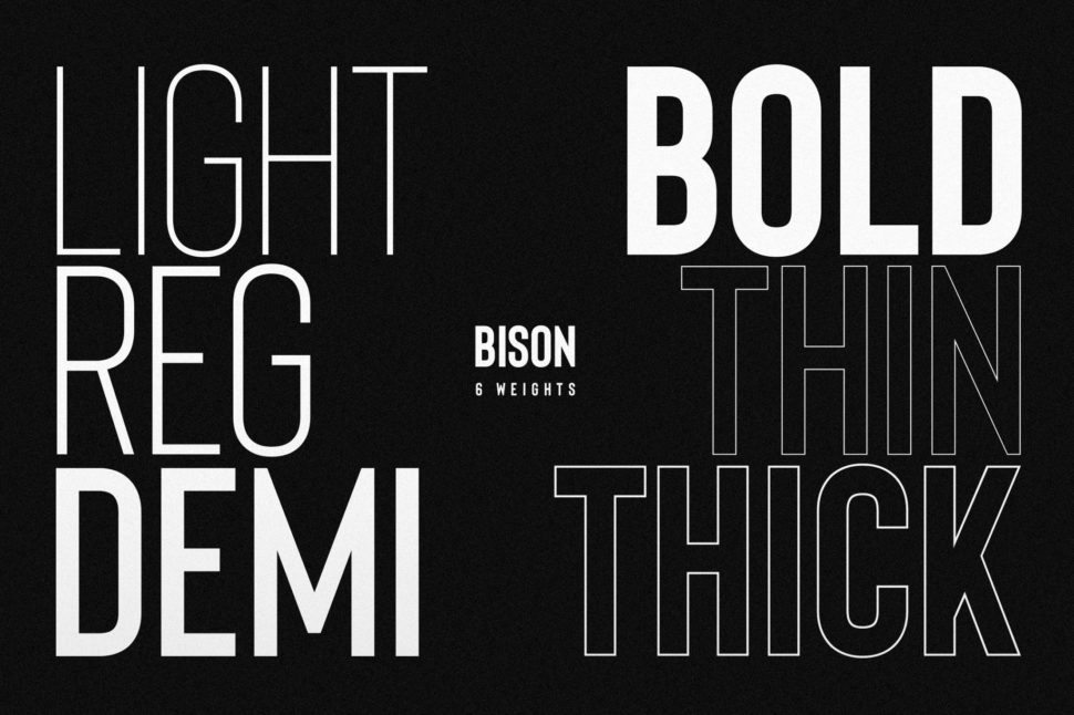 bison font