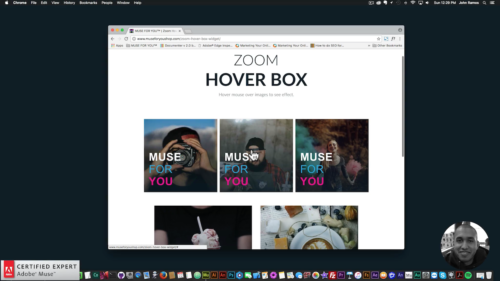 Muse For You - Zoom Hover Box Widget - Adobe Muse CC - Web Design Ledger