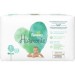 Pampers Harmonie Maat 1 | 35 stuks