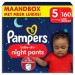 Pampers Baby Dry Night Pants Maat 5 | 160 stuks