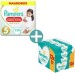 Pampers Premium Protection Pants Maat 5 | 120 stuks