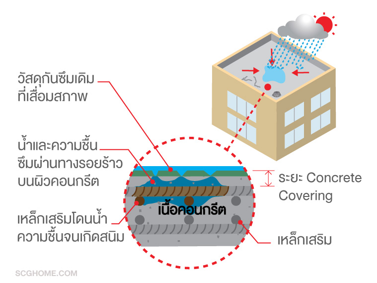 ปัญหาหลังคาดาดฟ้ารั่ว เอาชัวร์ก่อนฝนมา